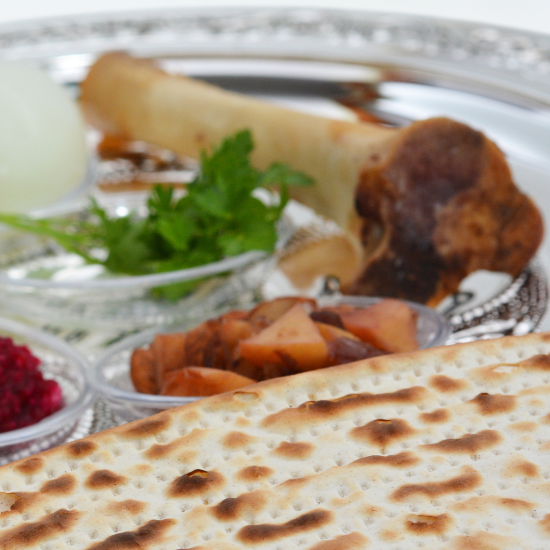 Shank Bone for the Passover Seder Plate Farmers & Fishermen Purveyors