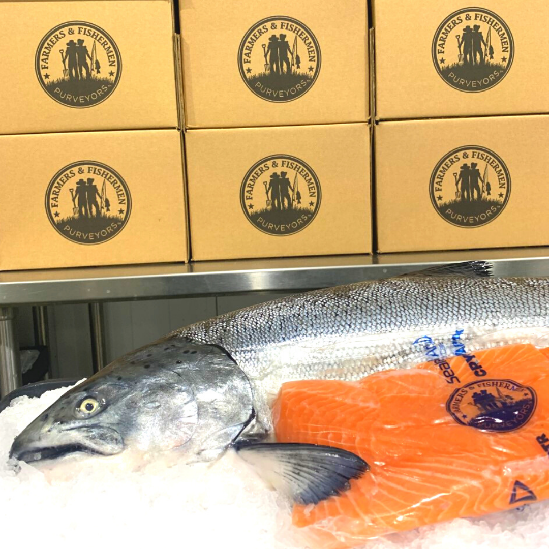 Wild Alaskan Troll King Salmon (4) 7oz portions