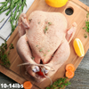 Joyce Farms Natural Whole Turkey (Medium)