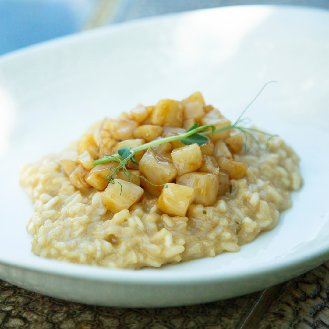 Chem-Free Scallop Medallions