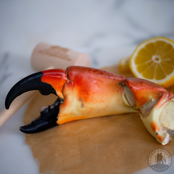 Fresh Colossal 1lb Stone Crab Claws