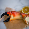 Fresh Stone Crab Claws, Colossal