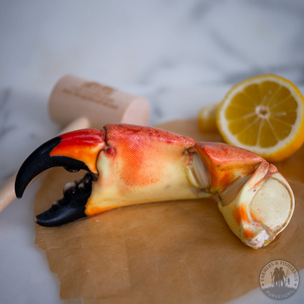 Fresh Jumbo 1lb Stone Crab Claws