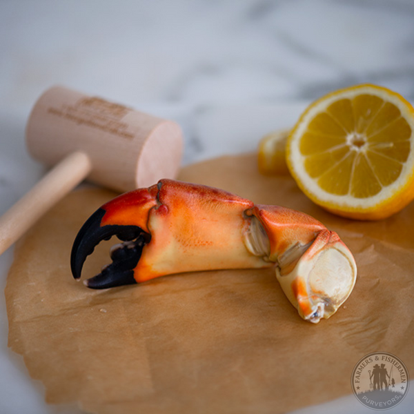 Fresh Large 1lb Stone Crab Claws