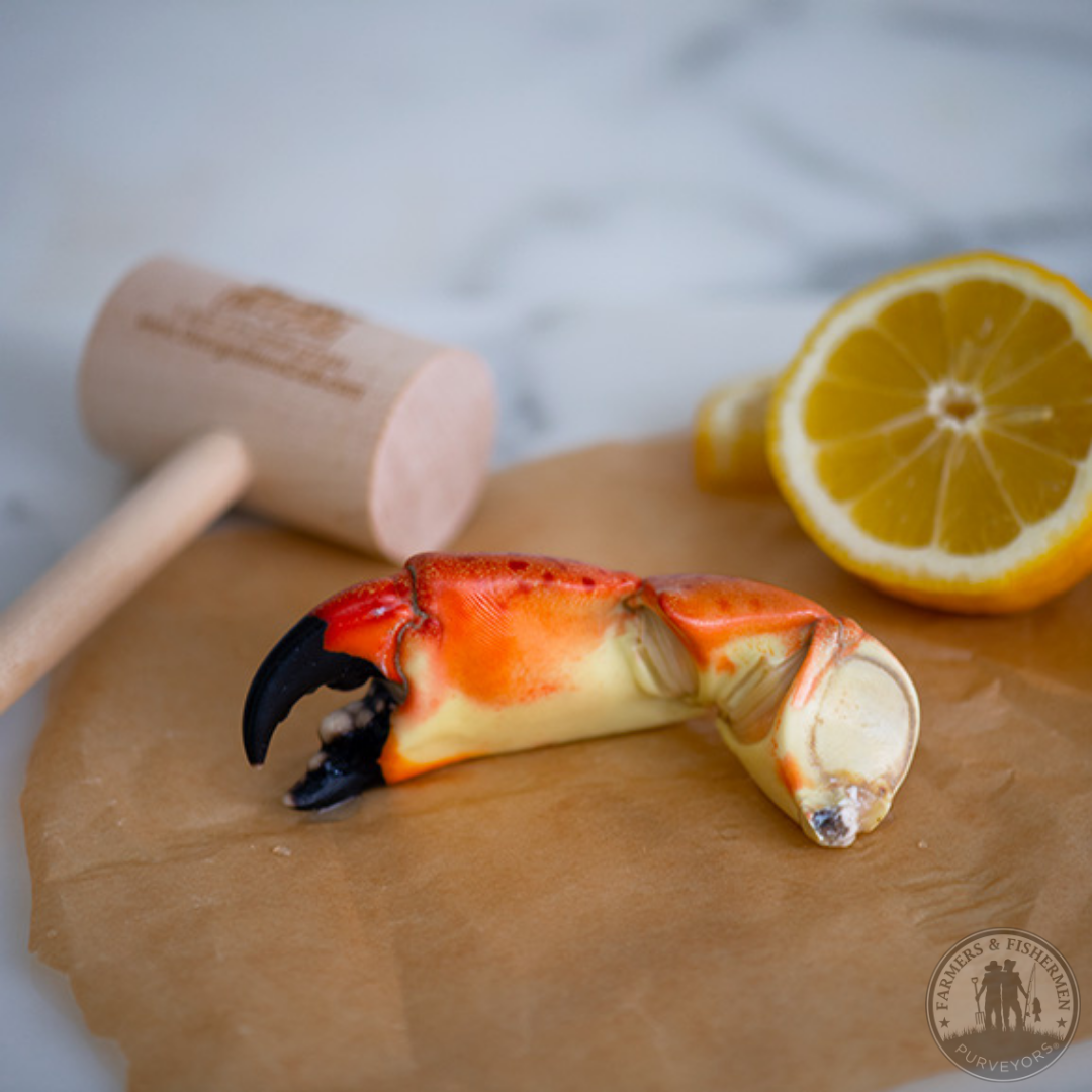 Fresh Medium Stone Crab Claws