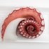 12oz Fully Cooked Spanish Octopus Leg, Ready-to-Serve