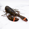 (1.25lb) Maine Live Lobsters